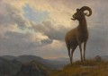 BIGHORN SHEEP American Albert Bierstadt animal